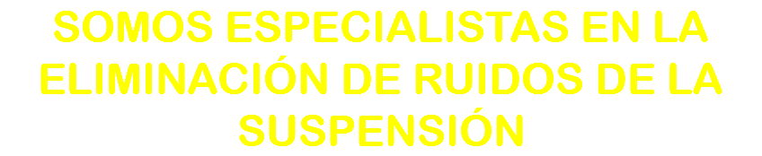 SOMOS ESPECIALISTAS EN LA ELIMINACIÓN DE RUIDOS DE LA SUSPENSIÓN