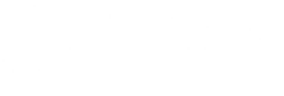 El sistema de suspensión es uno de los principales valores de la seguridad activa del automóvil. Está formado por varios elementos elásticos que conectan ruedas y ejes con las partes del vehículo que no tocan el suelo y por tanto quedan suspendidas. La misión de este sistema es absorber las irregularidades del terreno, mantener el contacto entre vehículo y suelo y garantizar la comodidad de los ocupantes. 