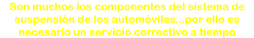 Son muchos los componentes del sistema de suspensión de los automóviles...por ello es necesario un servicio correctivo a tiempo